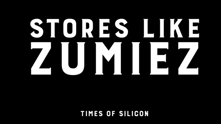 stores like Zumiez